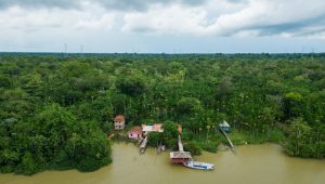 comunicação pública
