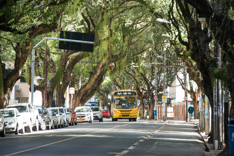 arborização 