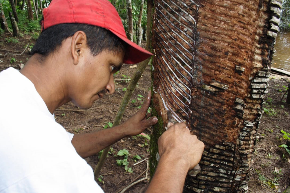 Reforma tributária acende novo alerta para o futuro do interior do Amazonas 3 Foto Divulgacao Sepror