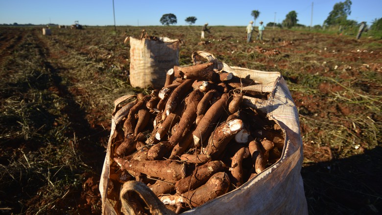 bioeconomia