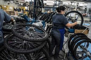 bicicletas