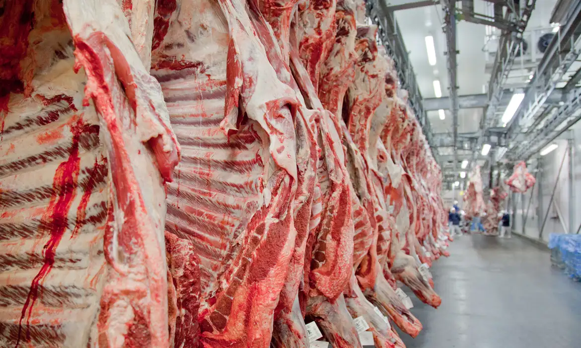 governo