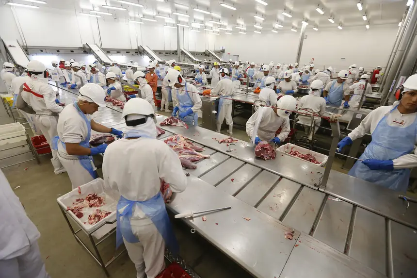 exportacao para