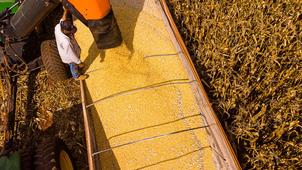 agropecuária Mato Grosso