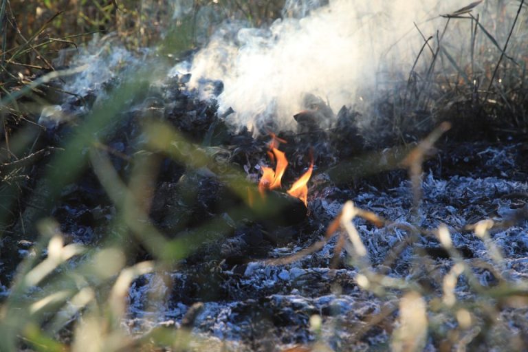Rondônia calor