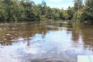 contaminação