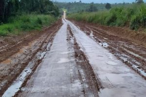 decisão MPF