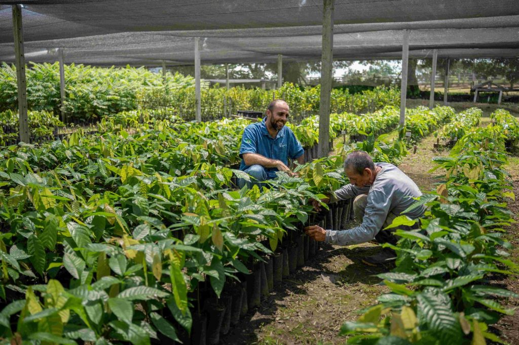 Ipaam licencia sistema agroflorestal no município de Careiro (AM) 1 WhatsApp Image 2026 06 16 at 16.18.01