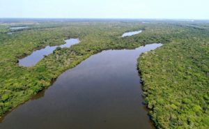 Tocantins multas