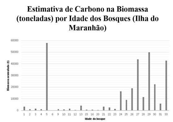 manguezais 