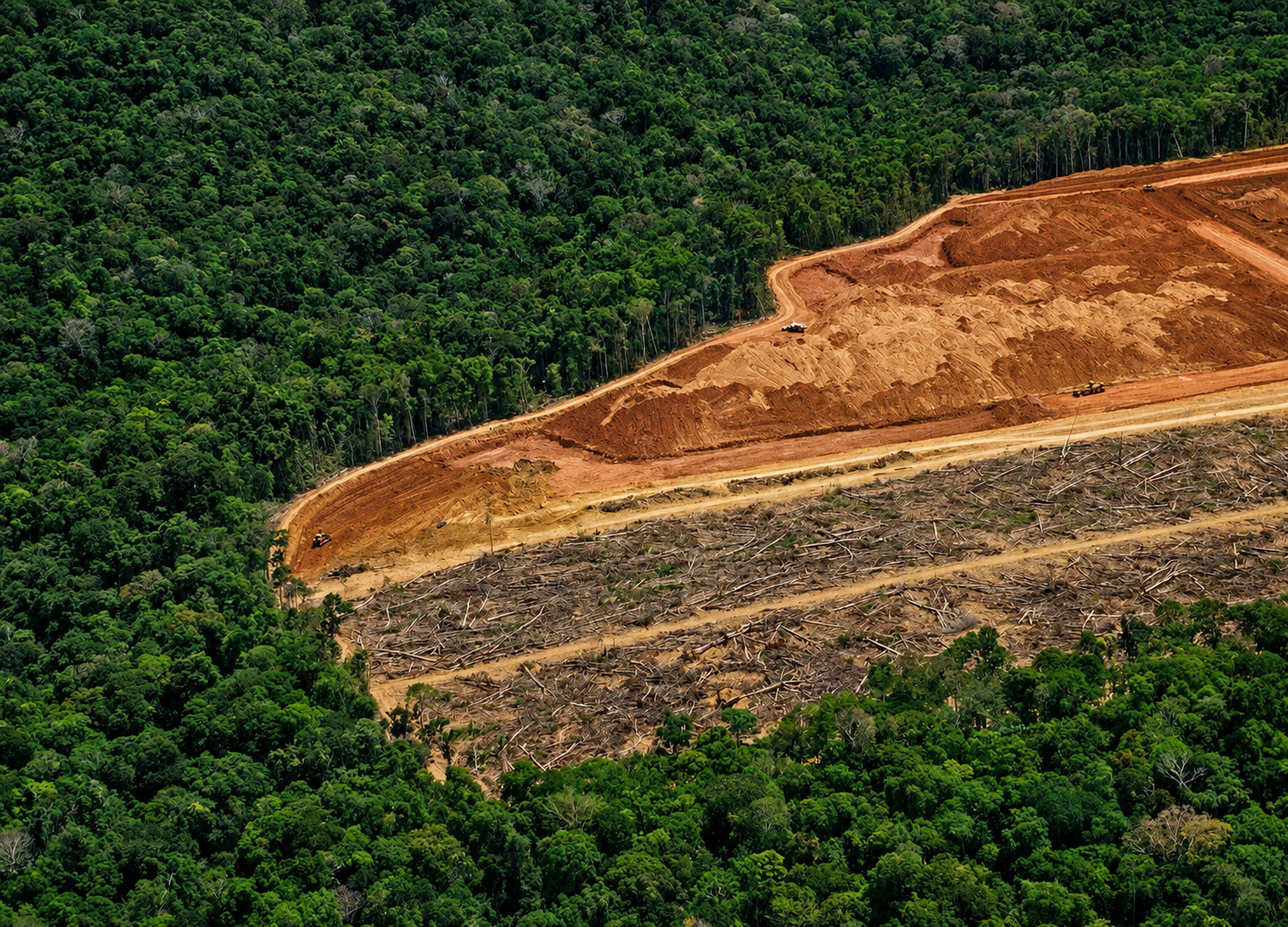amazônia