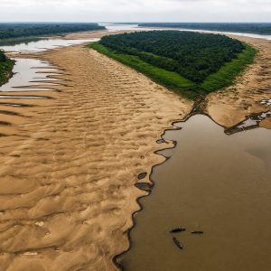 amazonas