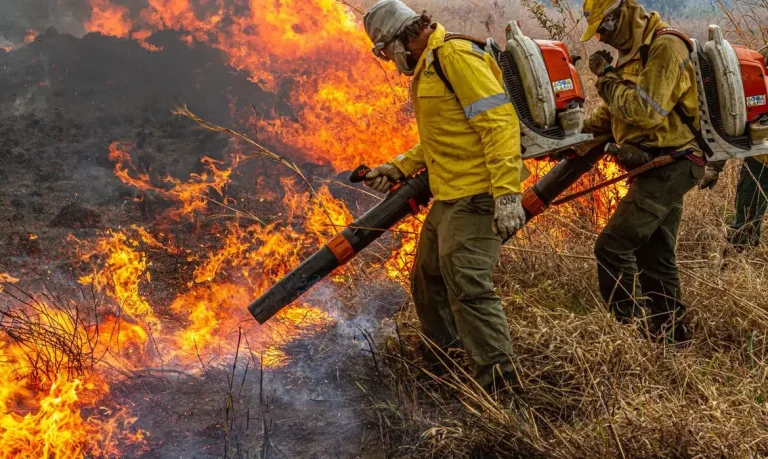 incêndios