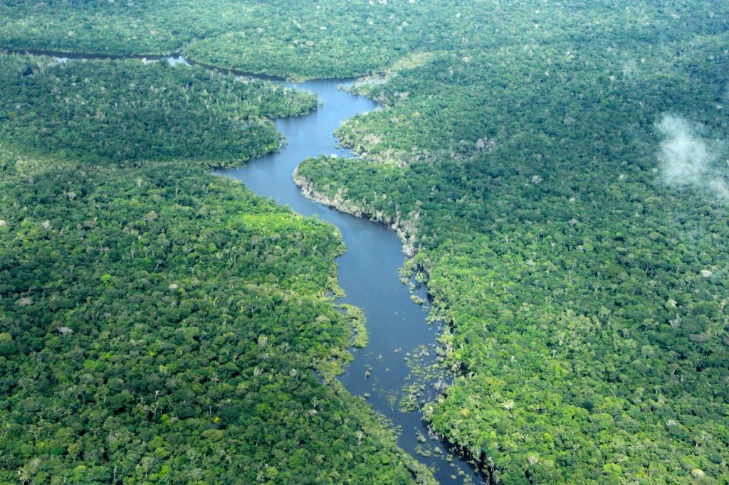 Amazonas