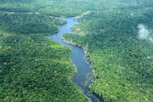 Amazonas
