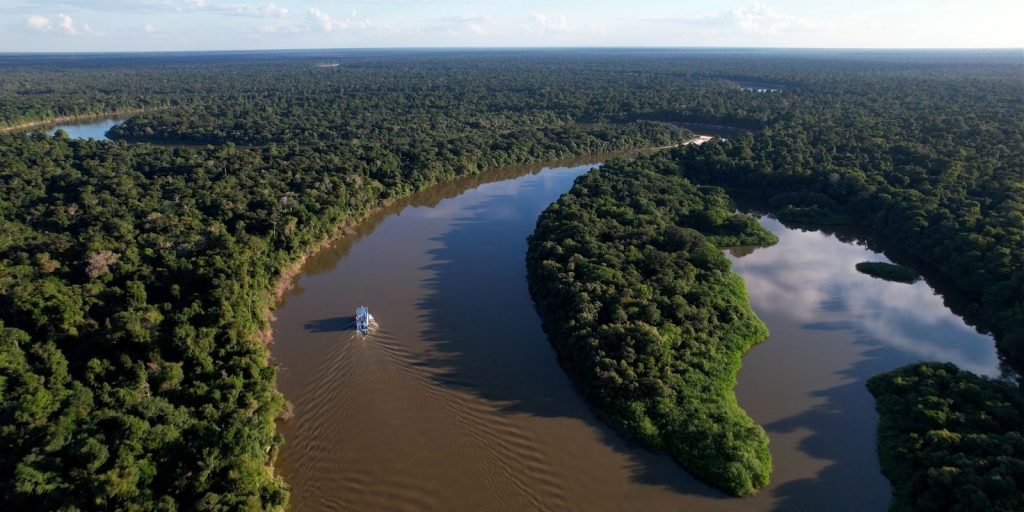 Amazonas registra queda de 57% na área desmatada entre janeiro e maio de 2026 1 Amazonas