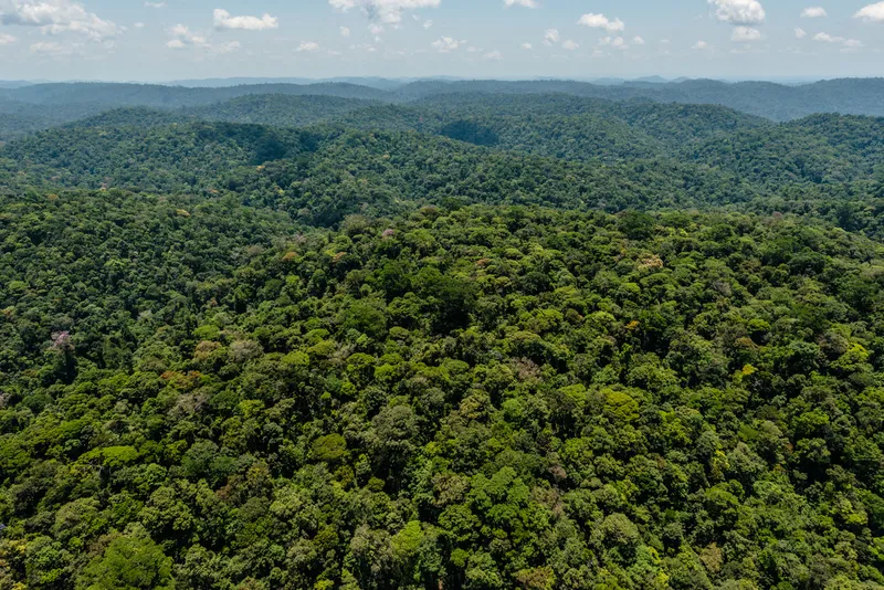 Amazônia