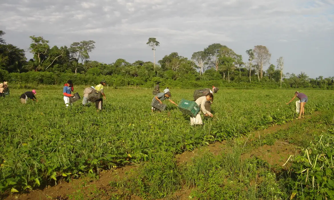 amazônia