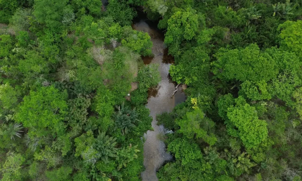 queimada