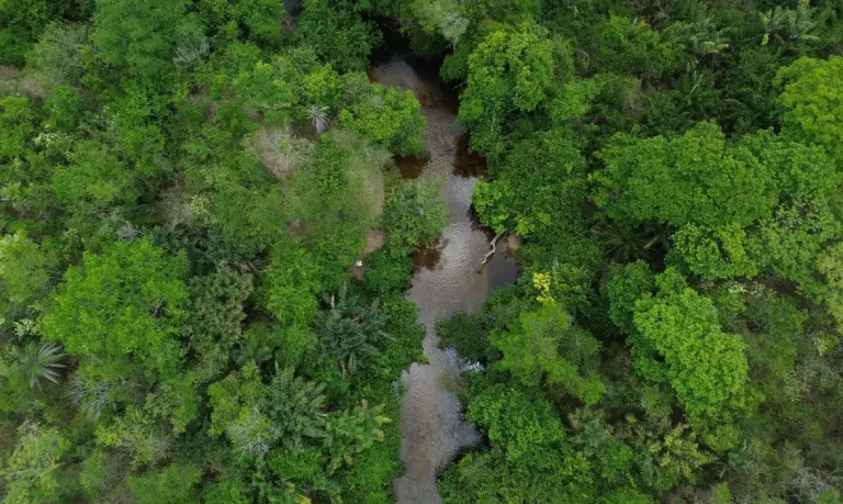 queimada