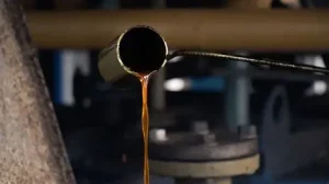 produção Amazonas