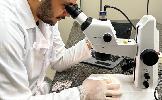 Pesquisa investiga se protocolos internacionais de agrotóxicos protegem espécies brasileiras 2 agrotóxicospesquisa