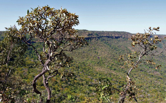 tocantins jpg