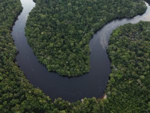 Amazônia