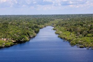 BNDES Amazônia