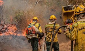 Fumaça mantém Manaus em alerta, e El Niño reduz expectativa de alívio 1 Captura de tela 16 10 2026 134312 imagens.ebc .com .br