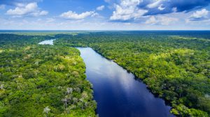 Amazônia
