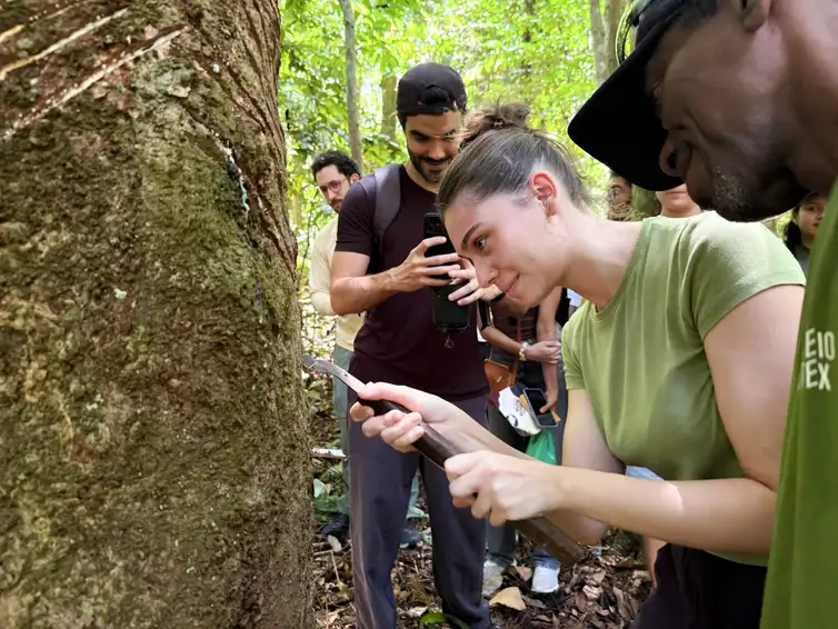 Pará recebe primeira atividade de Escola Imersiva em Sociobioeconomia 4 atividade Para foto Daniele Neves Embaixada da Franca no Brasil