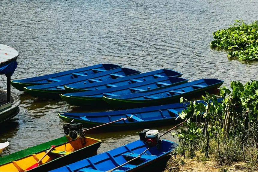 Extrativistas da comunidade Monte Sinai (AP) recebem equipamentos e sistema fotovoltaico para manejo de açaí 1 barcos comunidade Amapa foto Weverton Facanha SDR