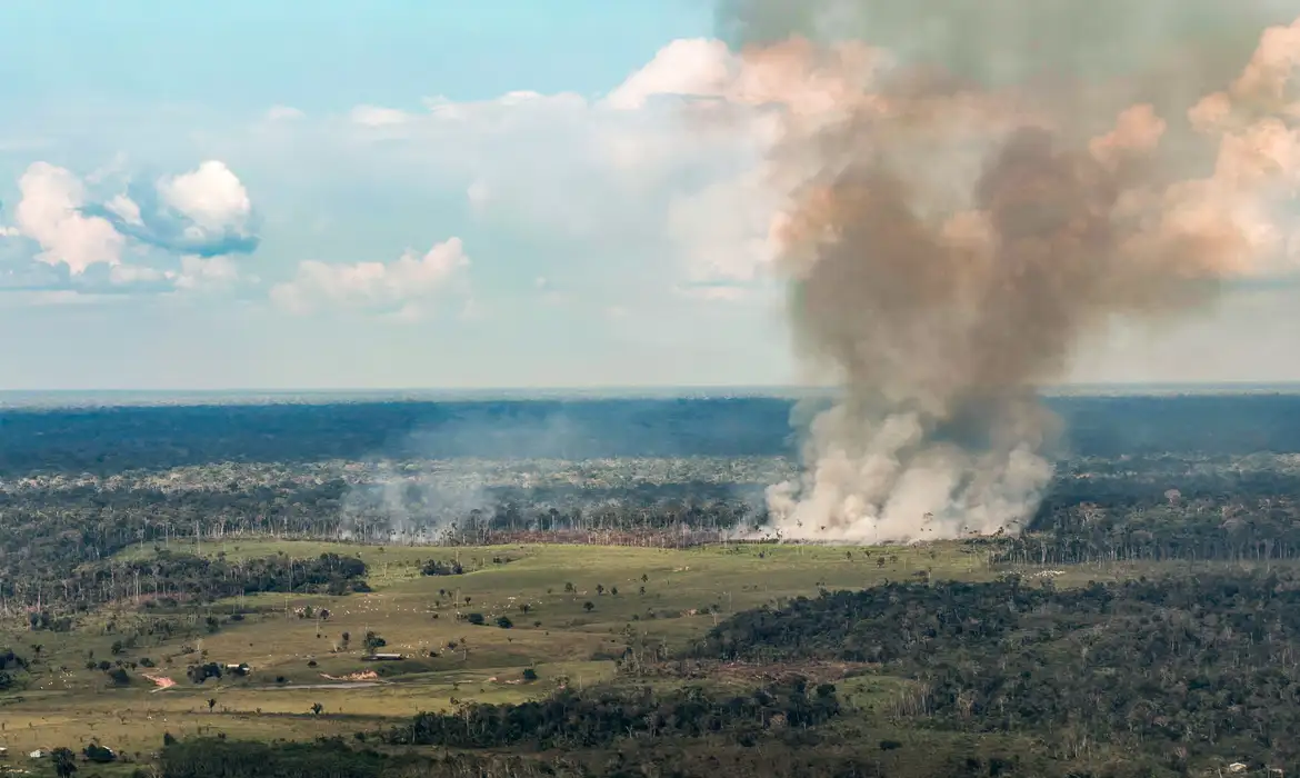 incêndios