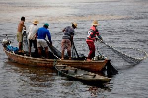 pesca